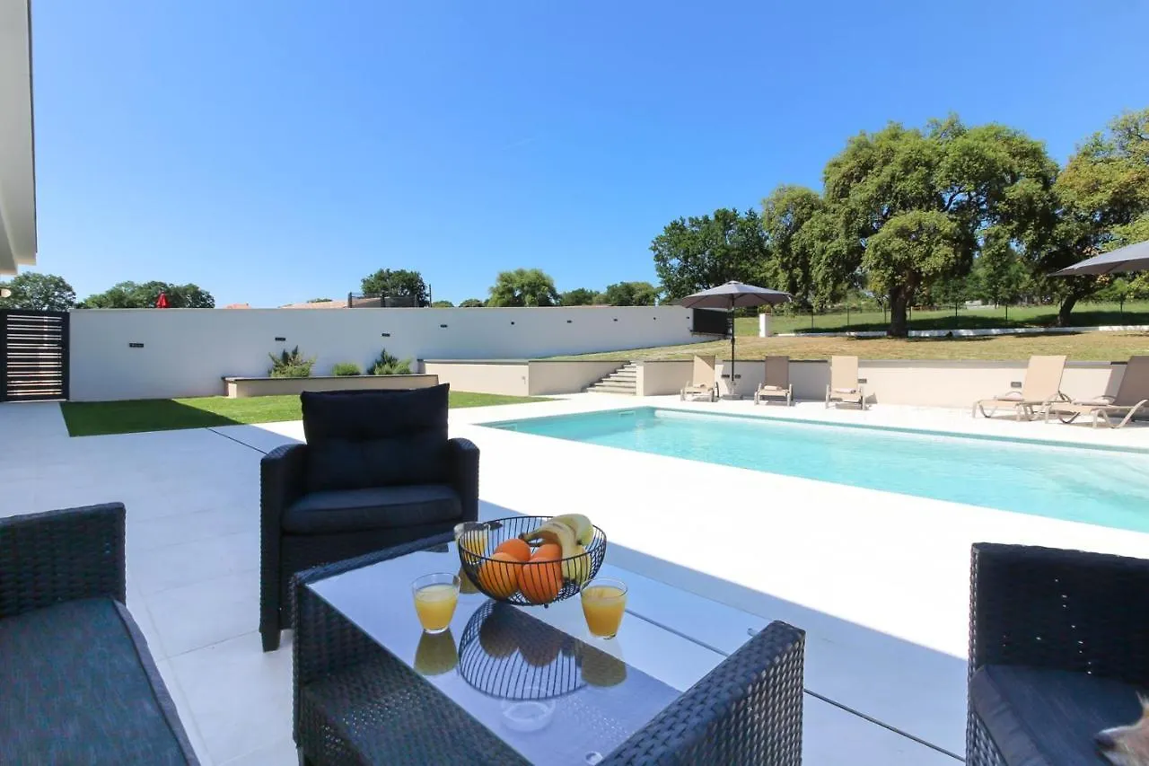 Stunning Modern Villa Monte Vernal In Pula Near The Beach And City Center
